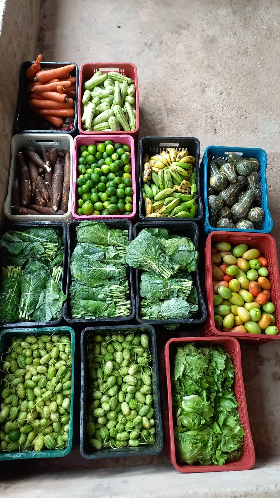 Hortifruti doado às famílias atendidas